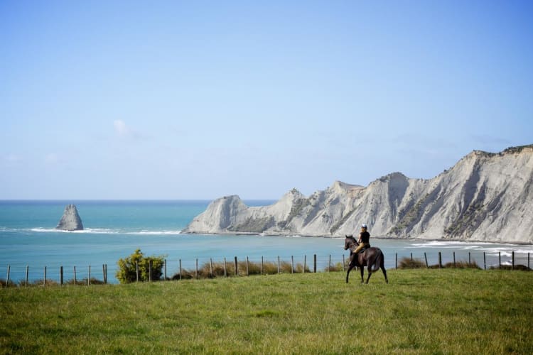 Horse treks