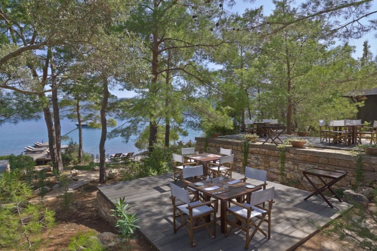 Beach-Club-Terrace