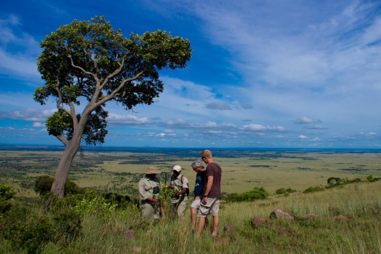 Bush-walk