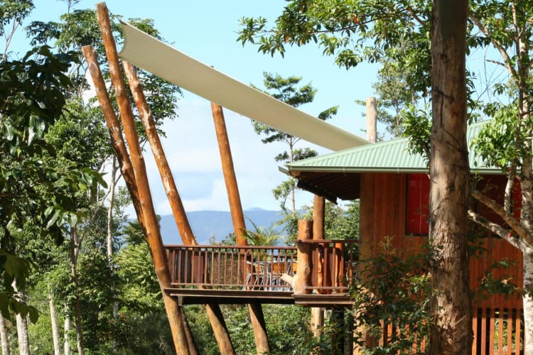 Treehouse