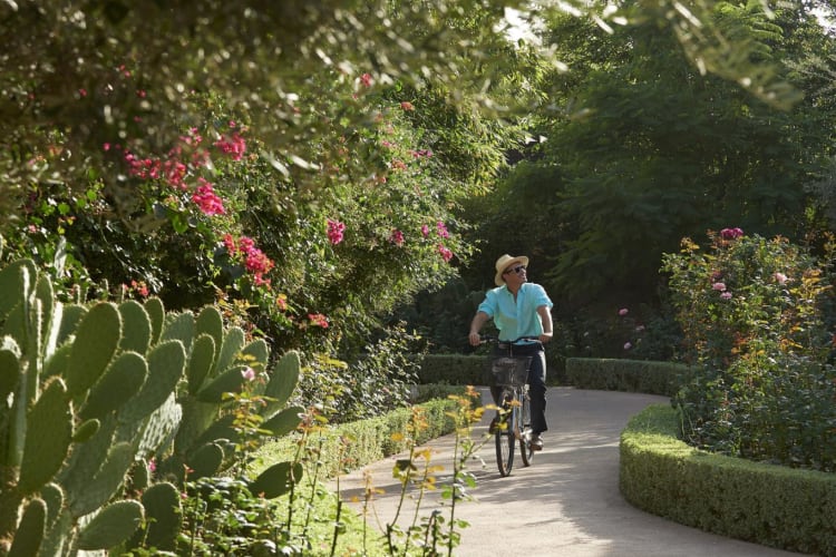 Leisure-cycling-nws