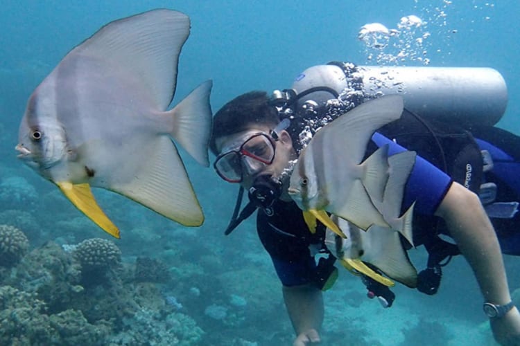 Diving