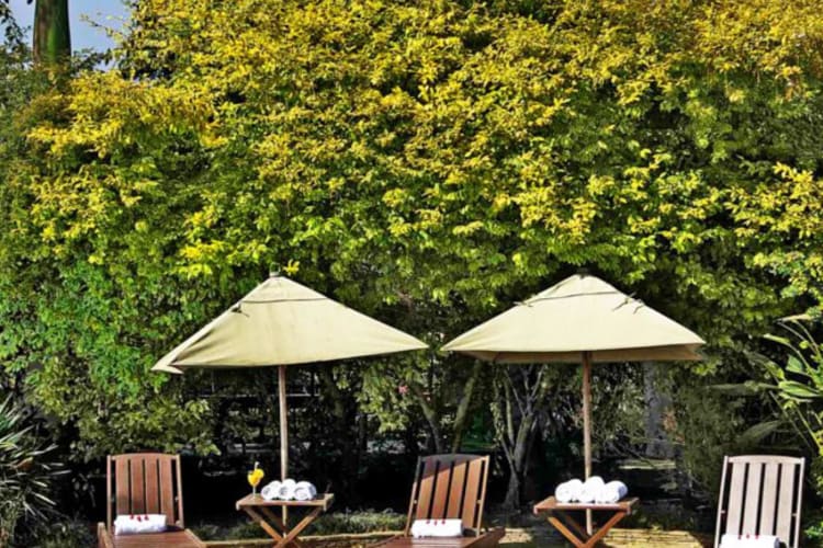 Sunloungers