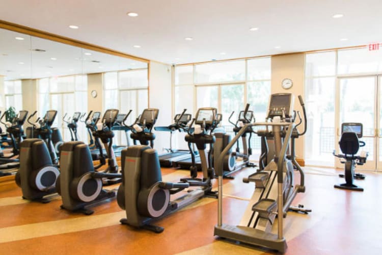 Fitness