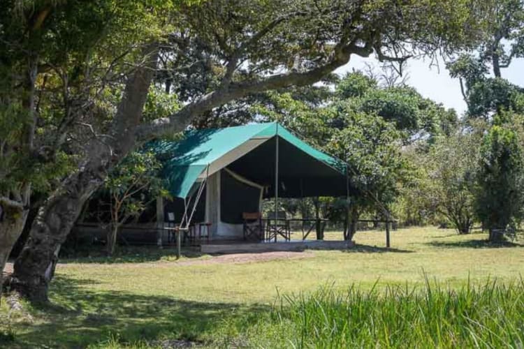 Camp