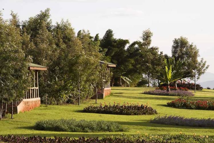 Grounds