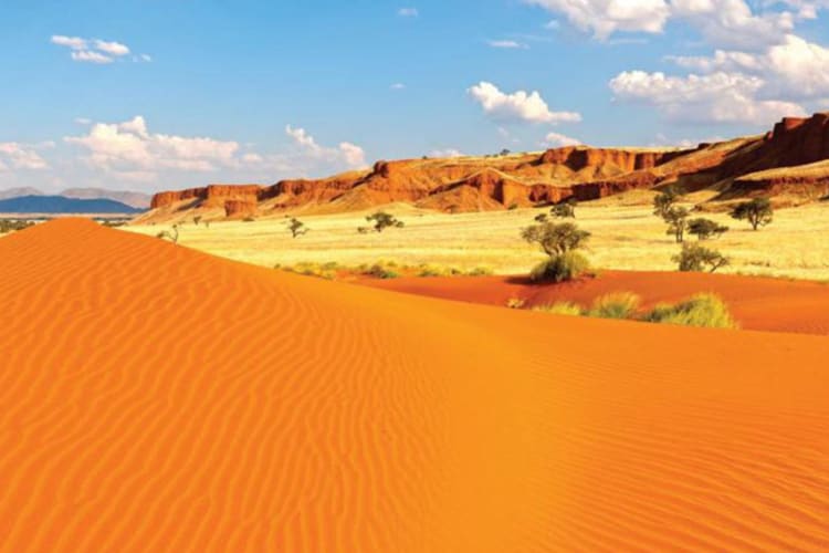 Desert