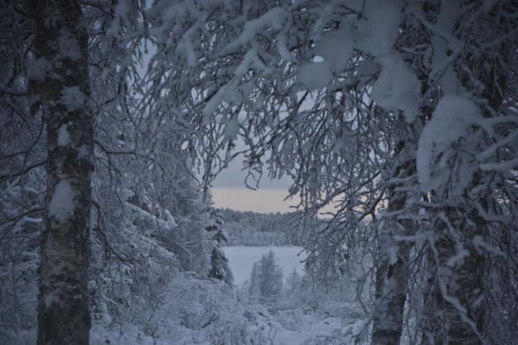 Snow