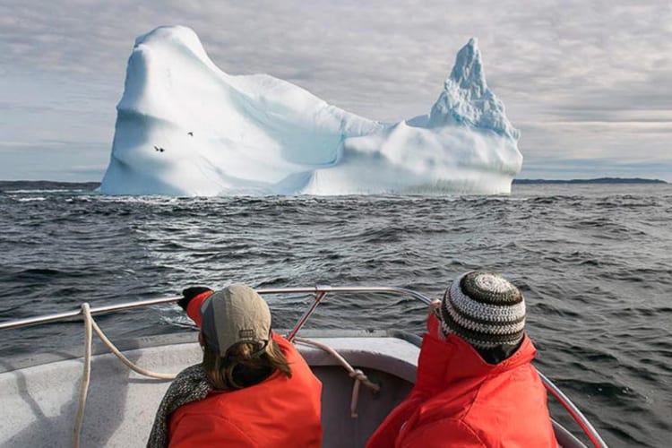 Iceberg Watch