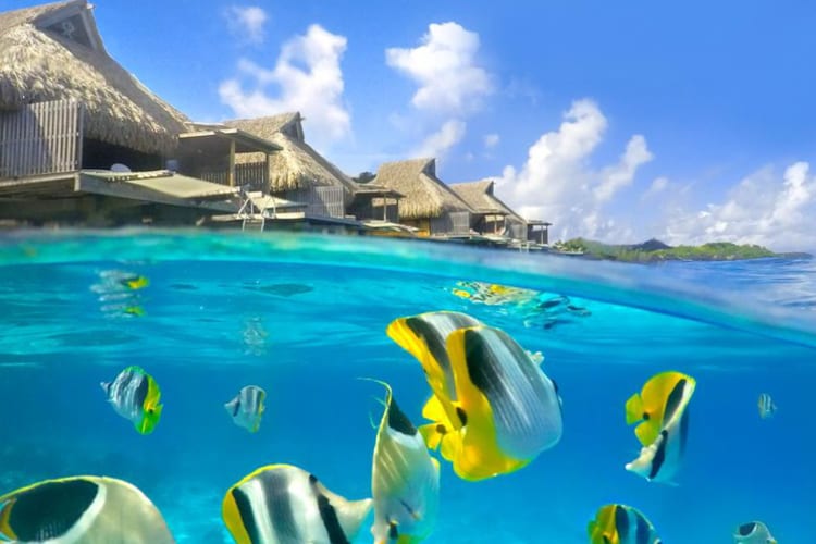 Underwater