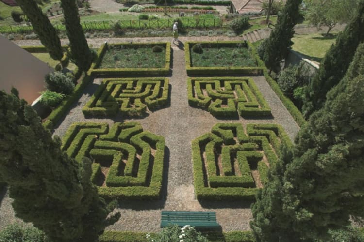 Maze