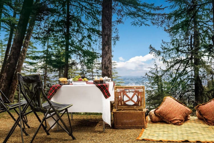 Picnic