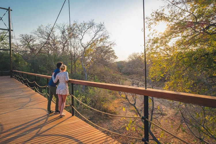 Jabulani main lodge suspention bridge