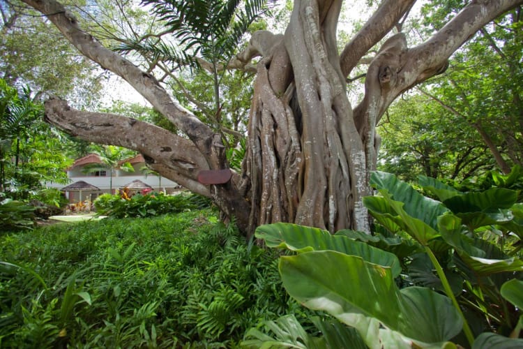 Gardens