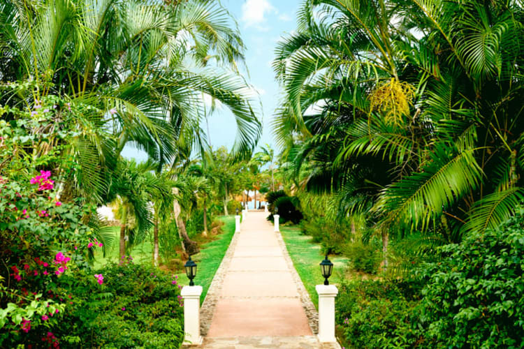 Gardens