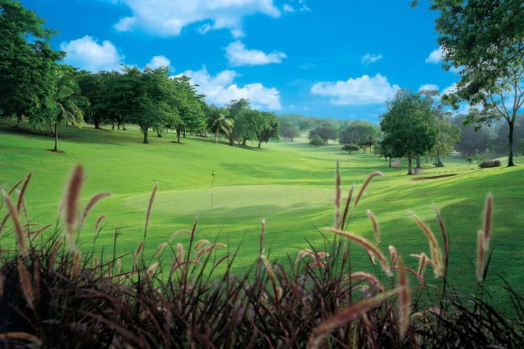 Golf