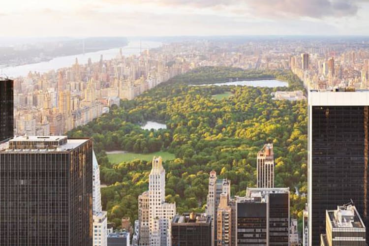 Central-Park