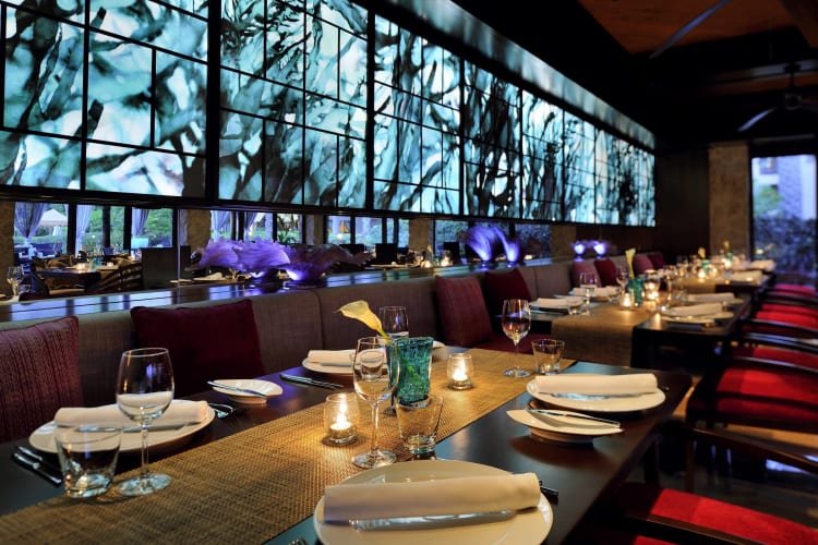 Eauzone-Dining-Room