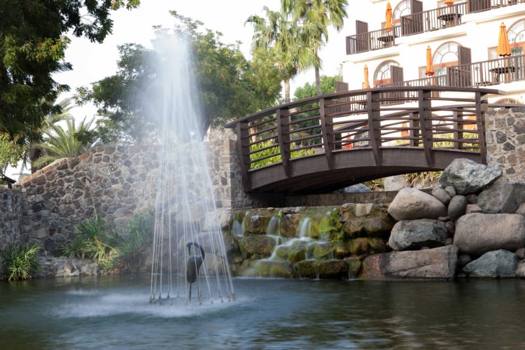Gardens-and-bridge