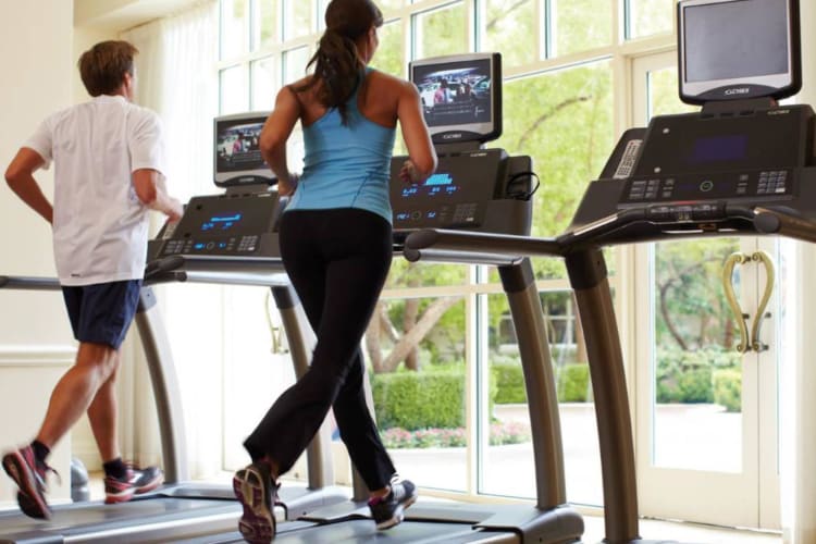 Fitness Centre
