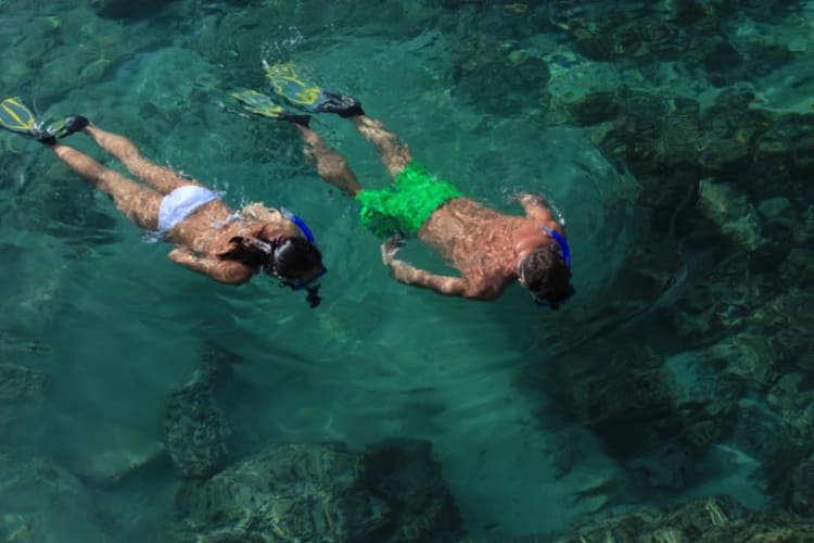 Snorkelling