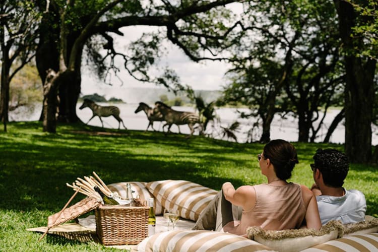 Picnic