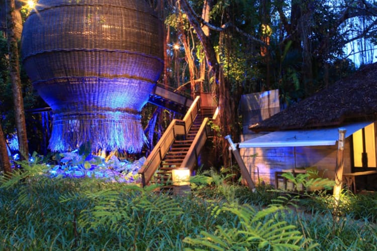 The Nest Coqoon Spa
