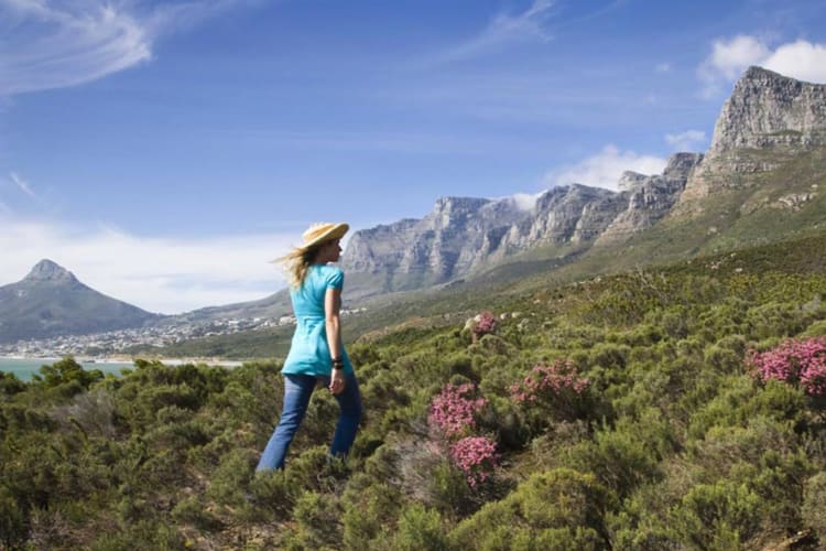 Table Mountain National Park