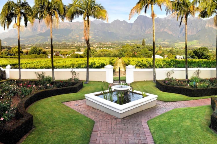 Rose-Garden-and-Palm-Trees