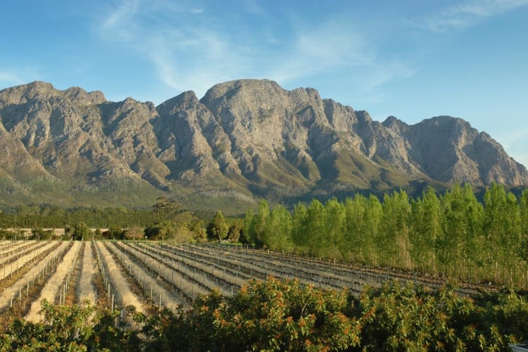 The Valley