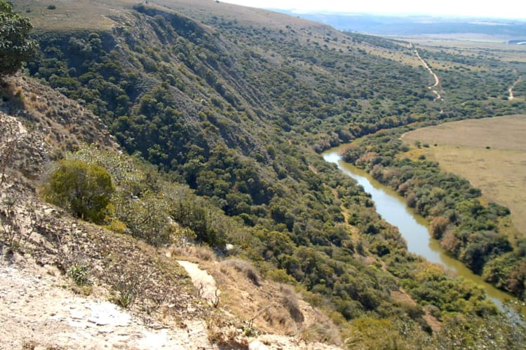 View