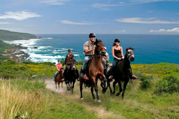 Horse Riding