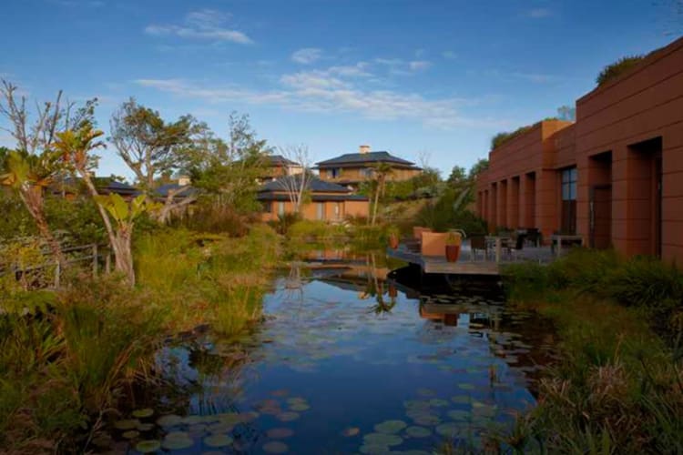 Koi Pond