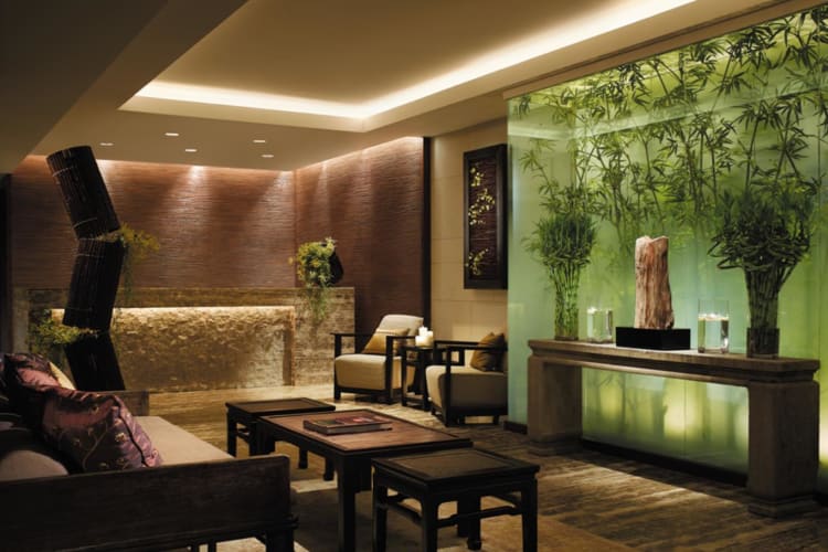 Spa Reception