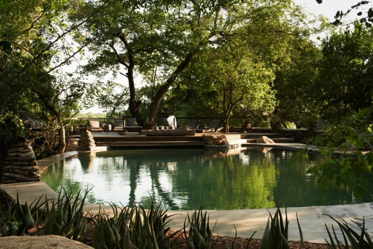 Singita-Boulders-Lodge--pool