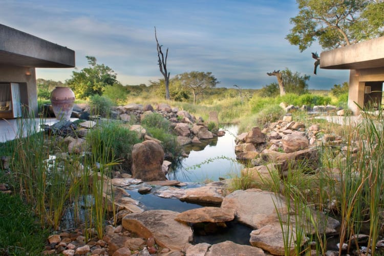 Sabi Sabi Earth Lodge