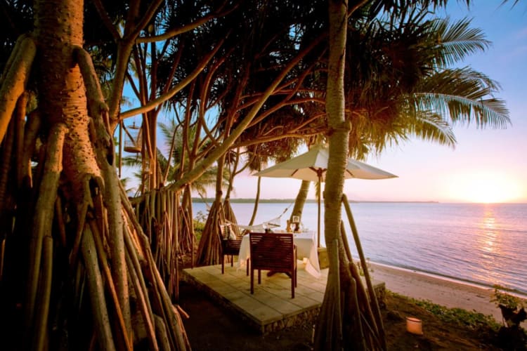Pandanus-Dinner