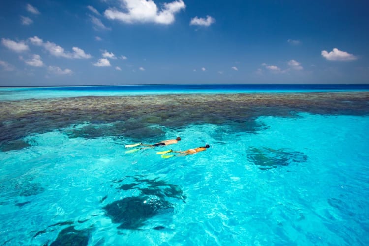 Snorkelling
