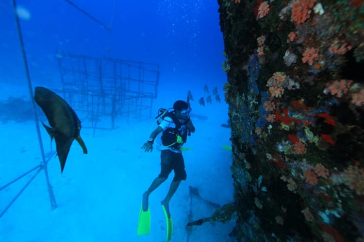 Raanamari wreck diving