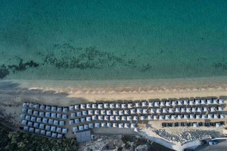 Aerial view of beach