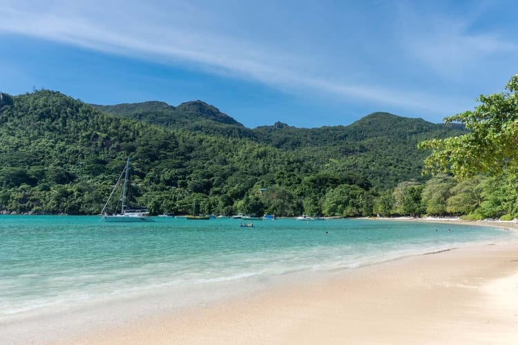 Beach and tropical forests