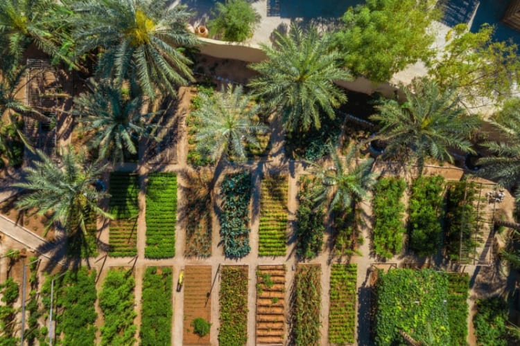 Gardens