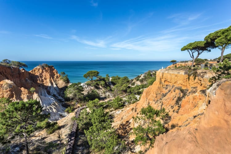 Pathway to beach