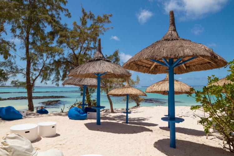 Beach umbrellas