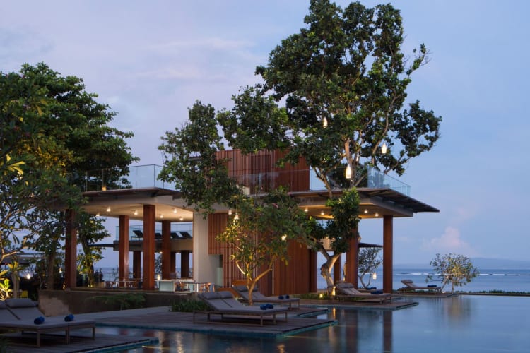 Tree Bar