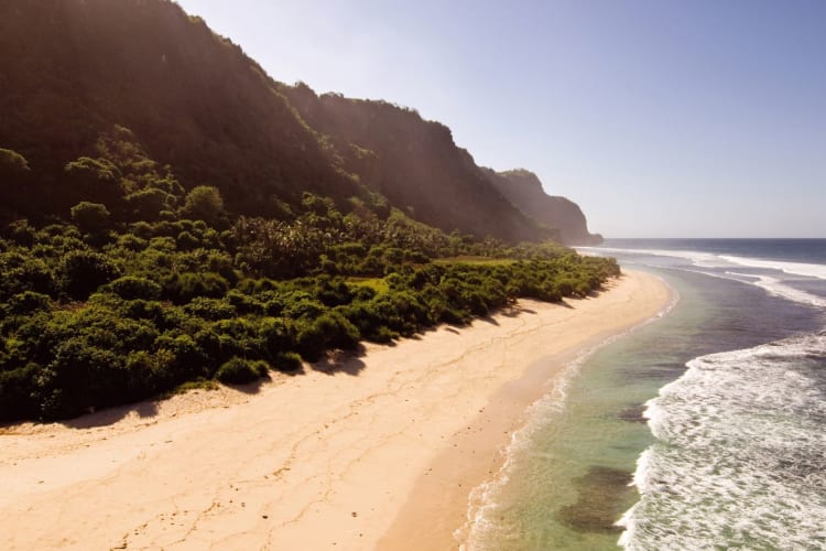 The Beach