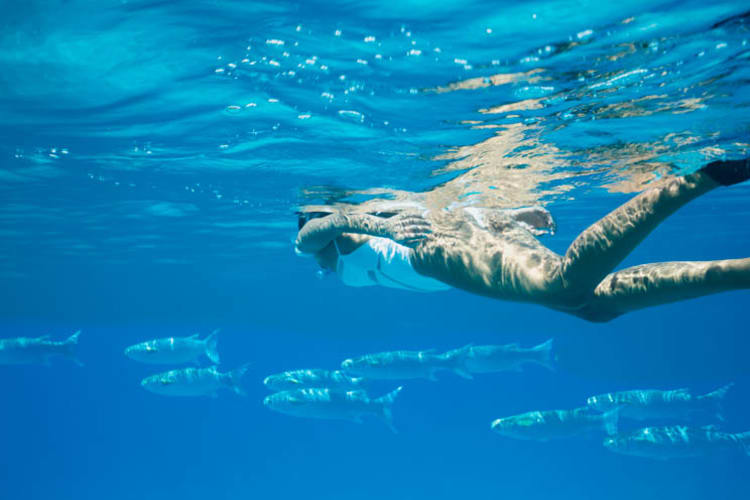 Snorkelling