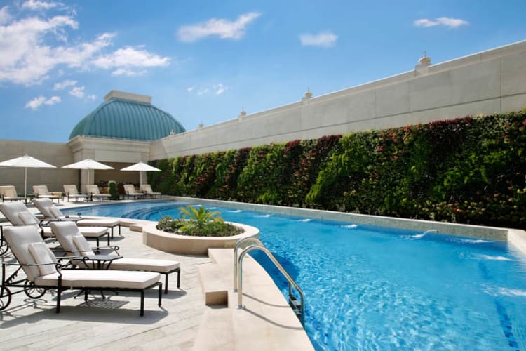 Rooftop Swimming pool