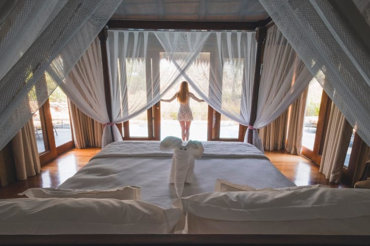 Suite morning