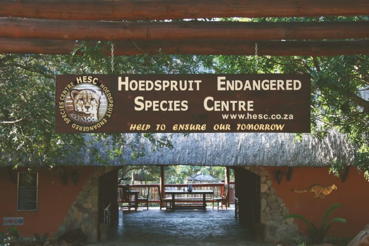 HESC Entrance